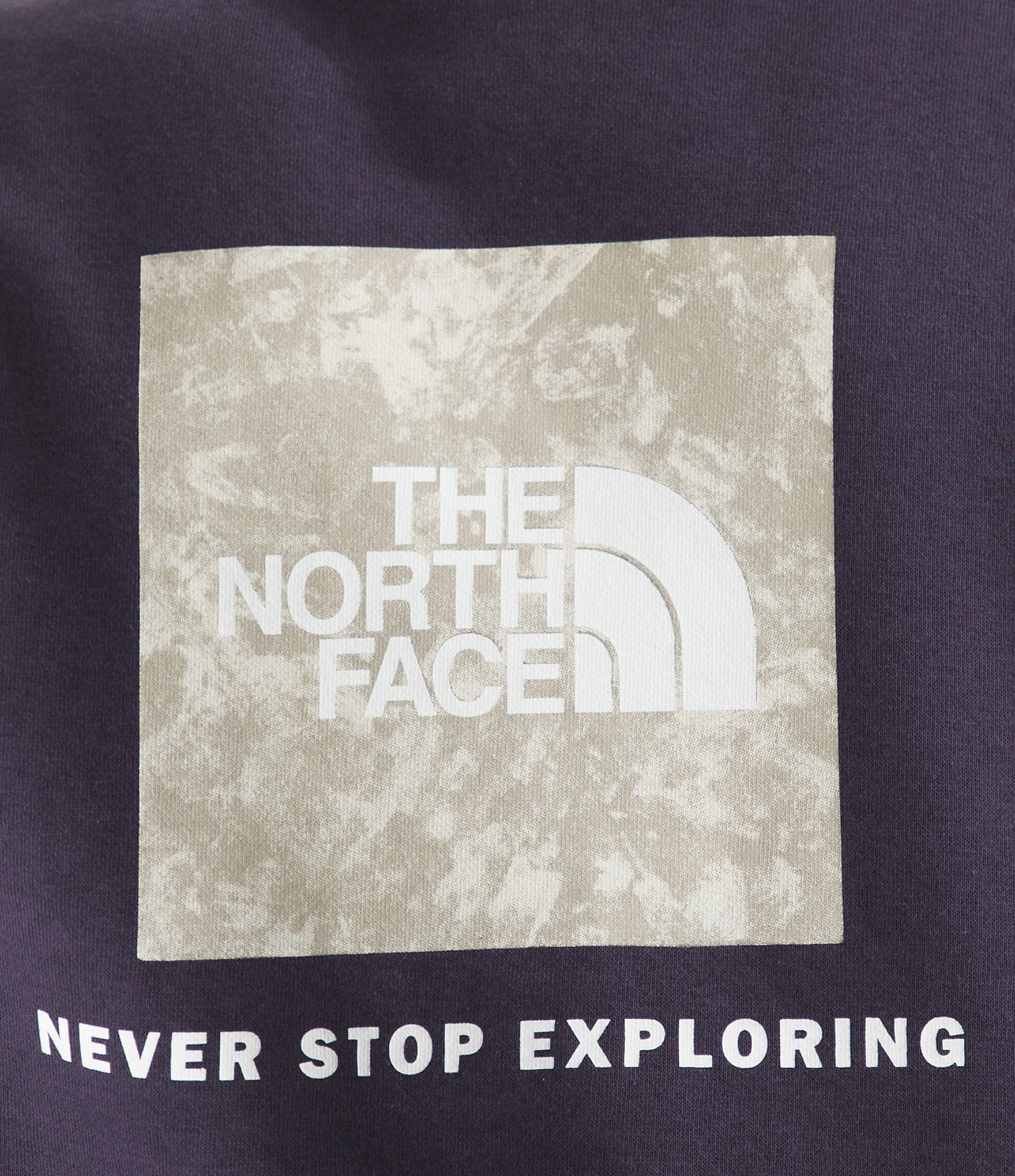 The North Face Glacier Drift Regular Pullover Hoodie