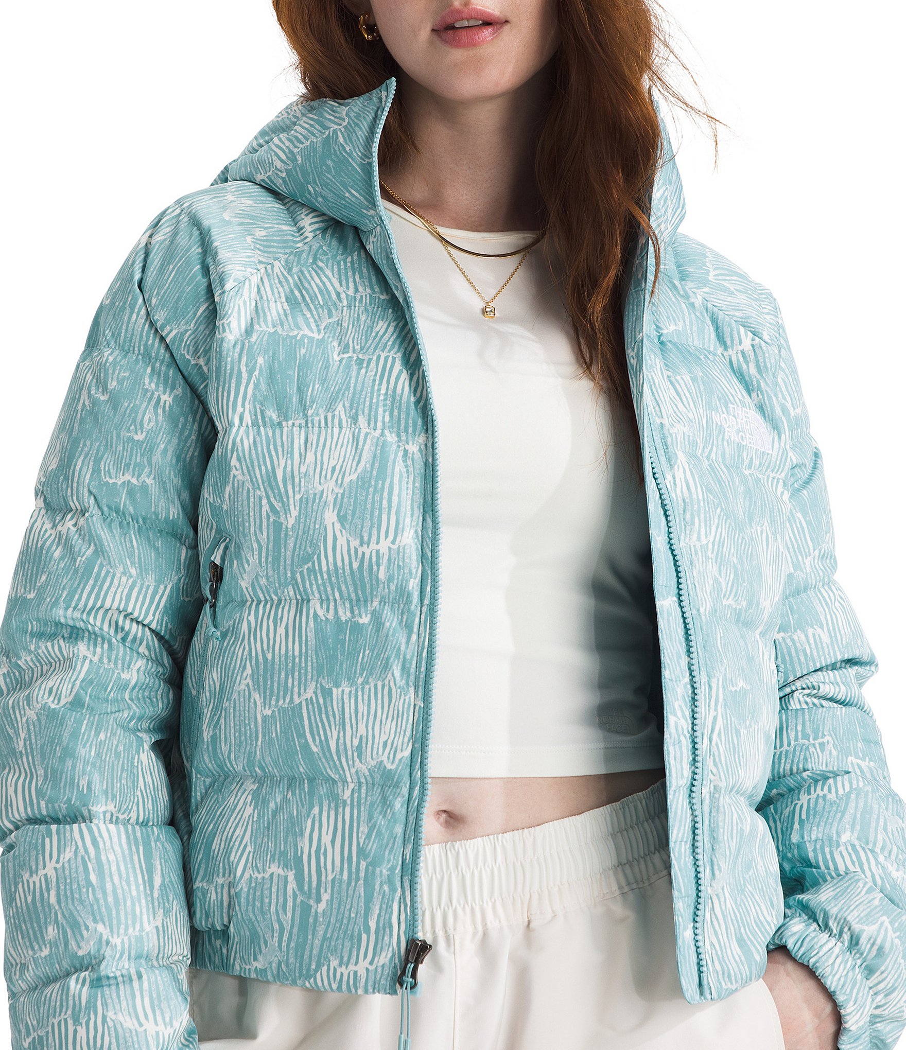 The North Face Hydrenalite Down Hoodie Zip Front Jacket