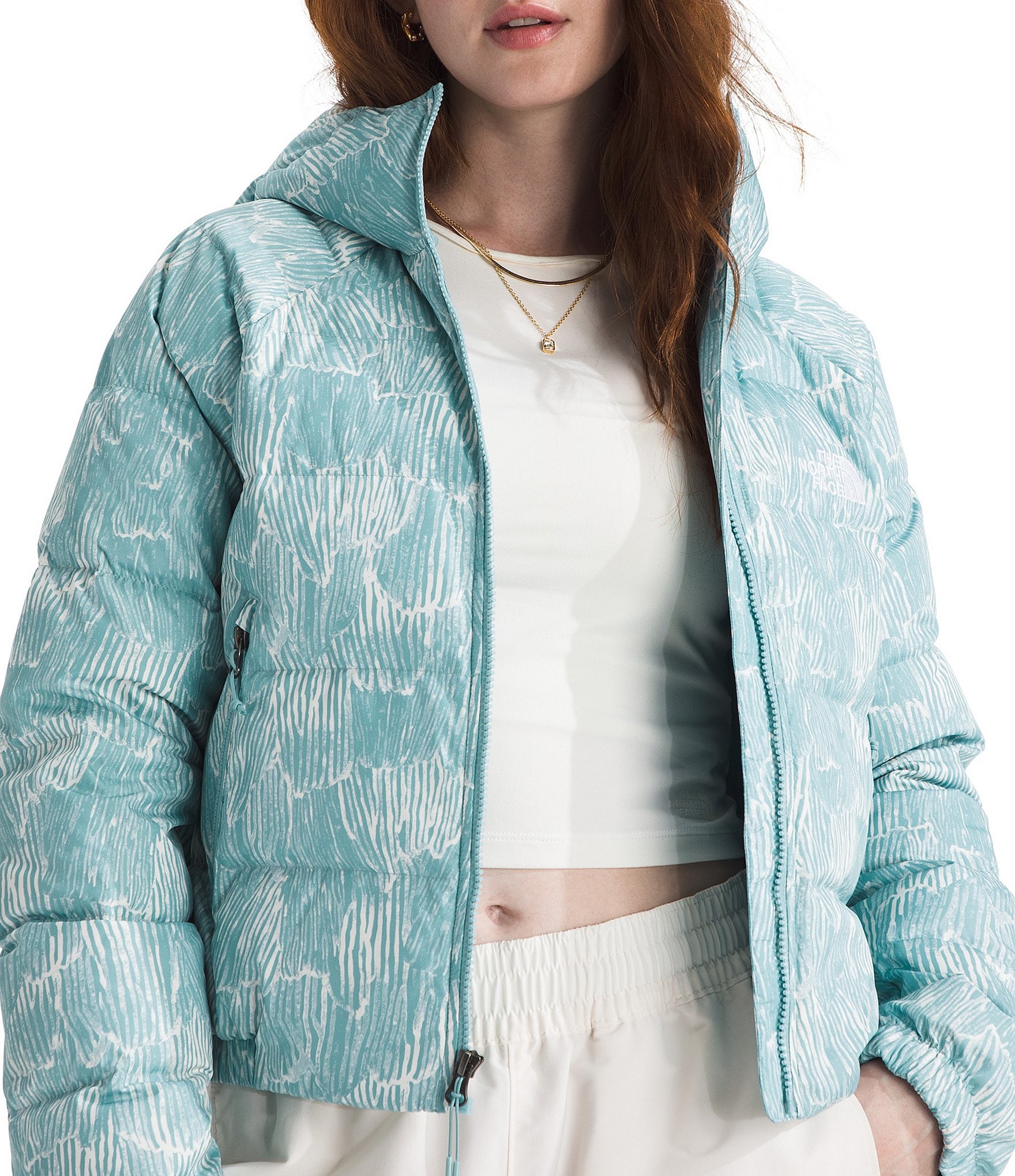 The North Face Hydrenalite Down Hoodie Zip Front Puffer Jacket