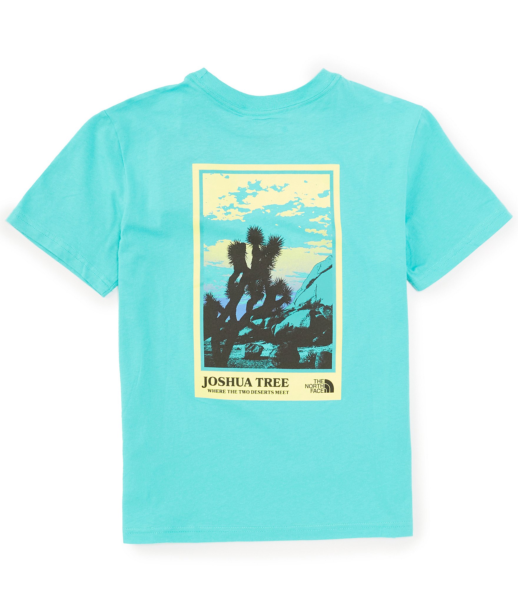 The North Face Little/Big Boys 6-16 Short Sleeve Graphic T-Shirt ...