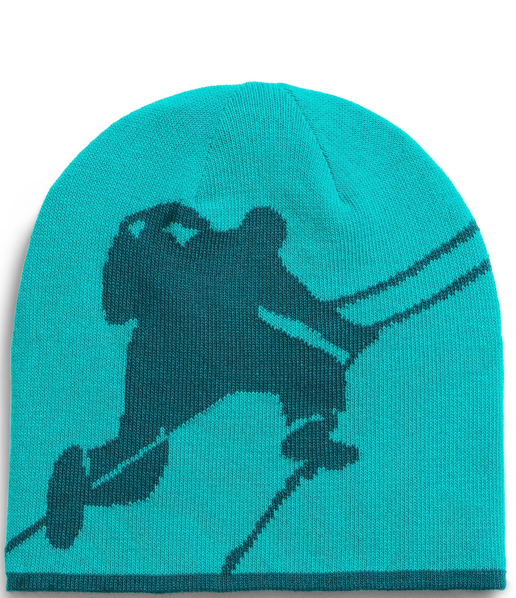 The North Face Reversible Highline Beanie