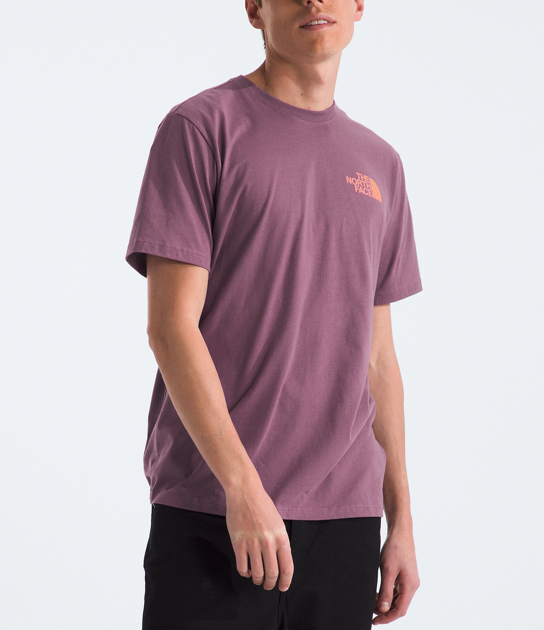 The North Face Short Sleeve Brand Proud Graphic T-Shirt