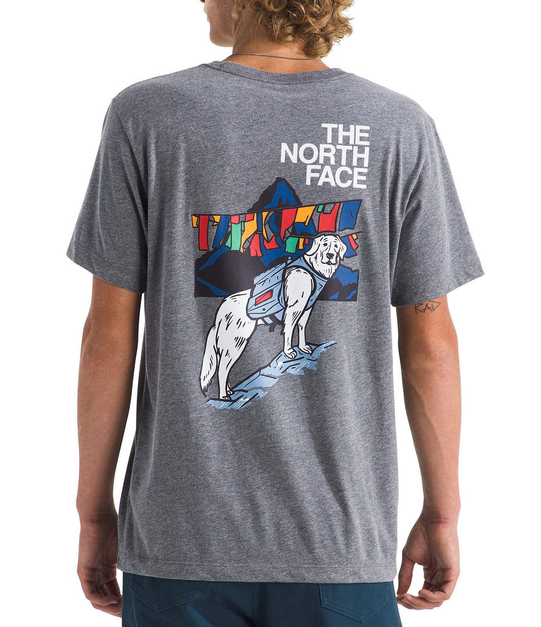 The North Face Sunlit Summit Solid Short Sleeve T-Shirt
