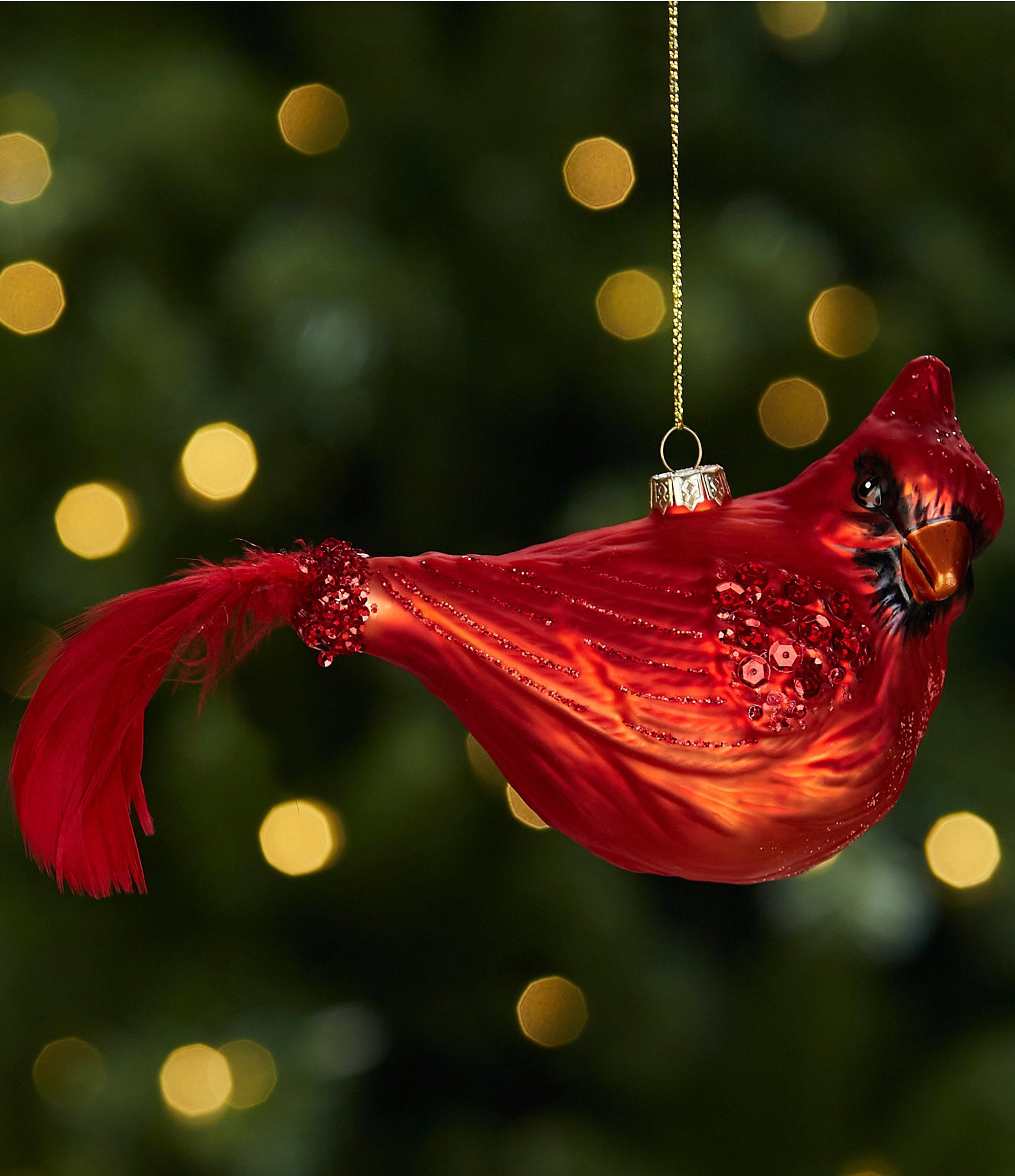 https://dimg.dillards.com/is/image/DillardsZoom/zoom/trimsetter-highland-holiday-collection-feathered-tail-cardinal-glass-ornament/00000000_zi_20390936.jpg