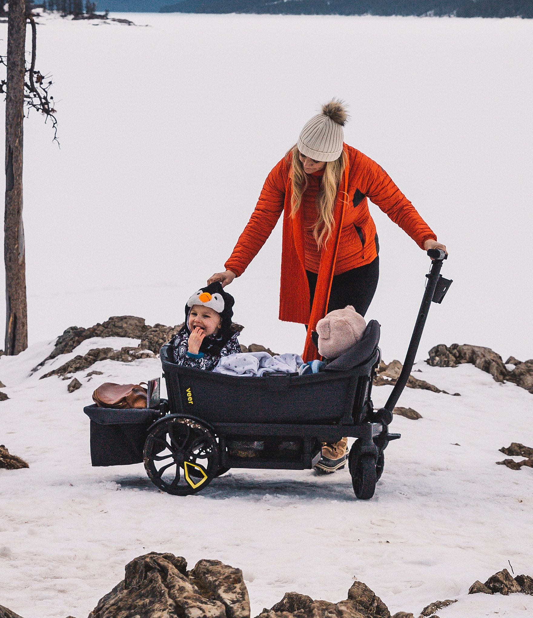 Veer All-Terrain Cruiser -Seater Stroller/Wagon