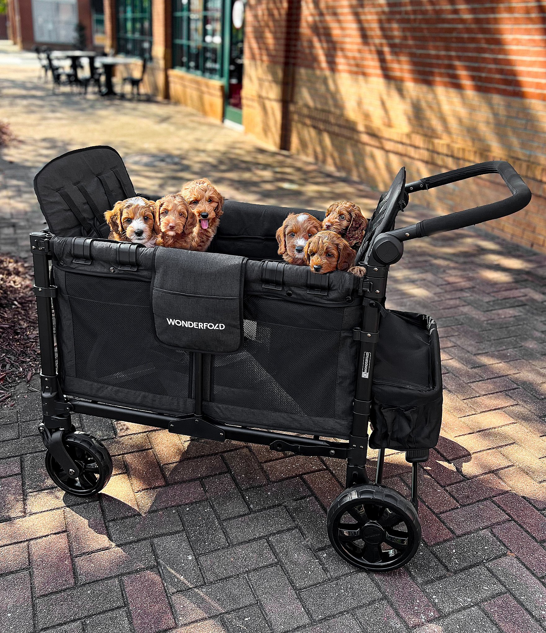 Wonderfold W4 Elite 4-Seater Quad Stroller Wagon