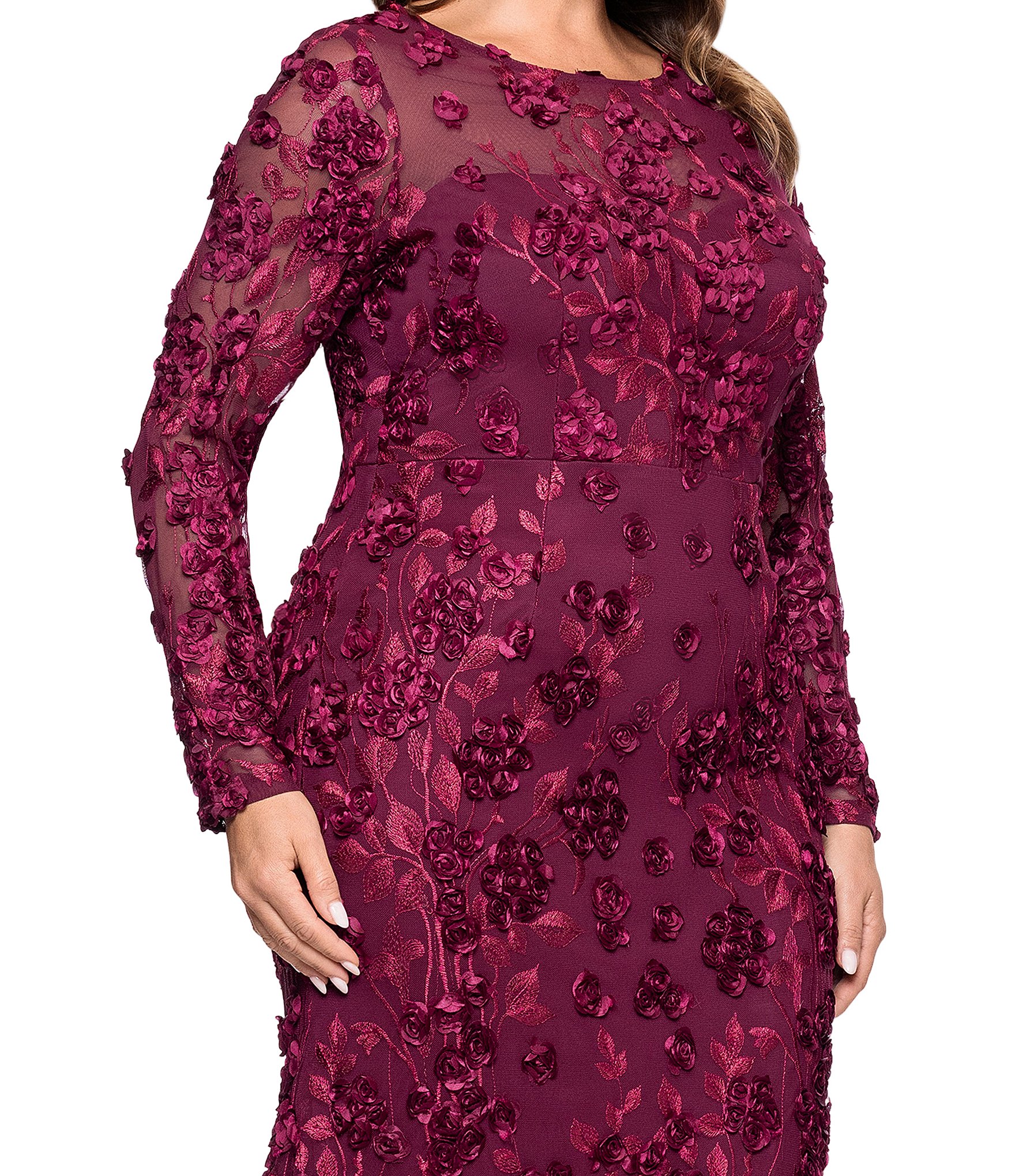 Xscape Plus Size Illusion 3D Mesh Flower Pattern Crew Neck Long Sleeves A-Line Gown